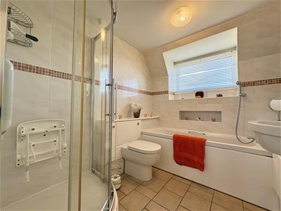 Picture 11
